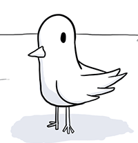Bird Bird