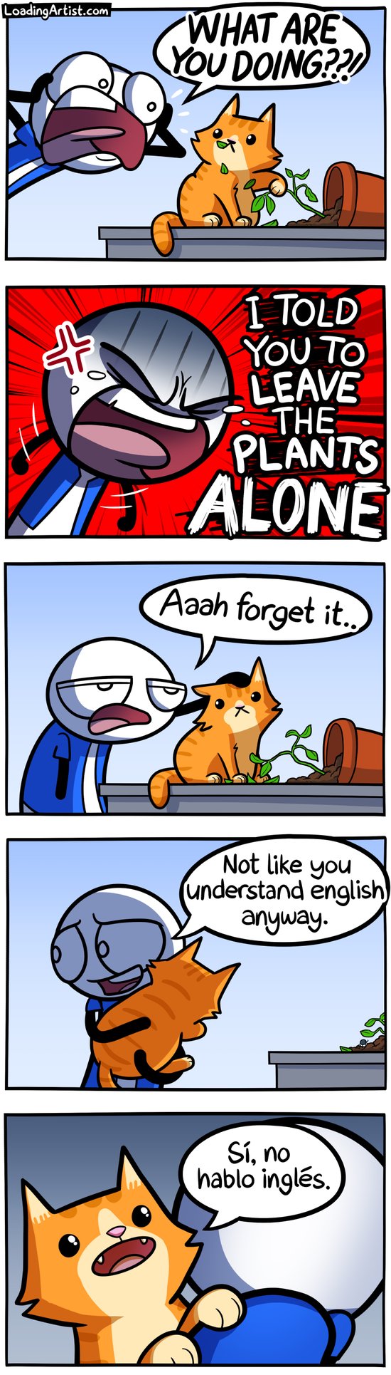 Cat got your Tongue Cat got your Tongue