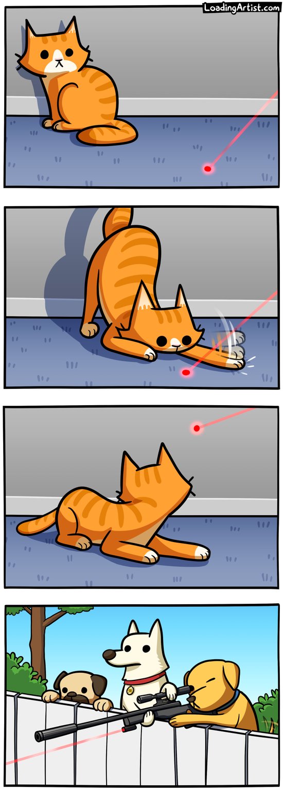 Cats and Dots Cats and Dots