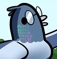 Orderly Coo Orderly Coo
