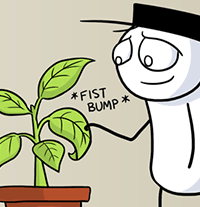 Plants Are Quiet Plants Are Quiet