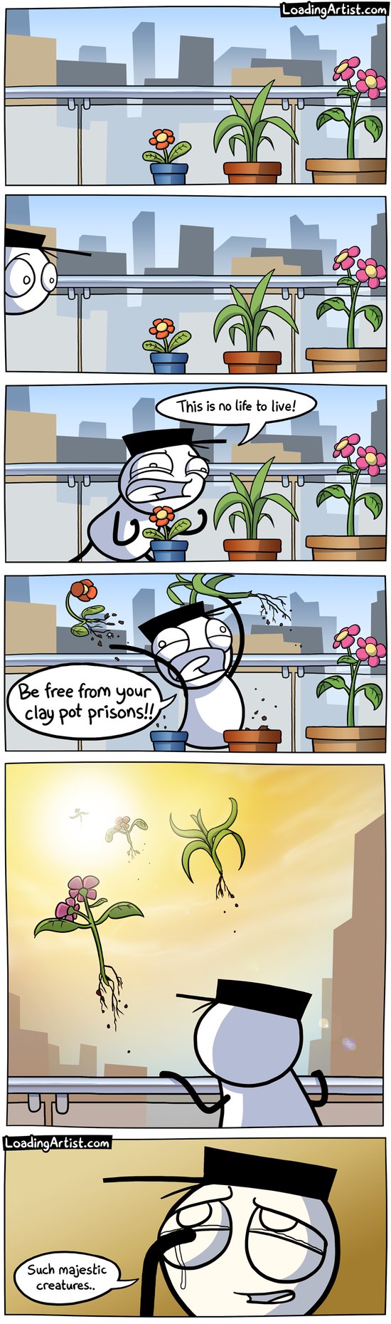 Plants Deserve Better Plants Deserve Better
